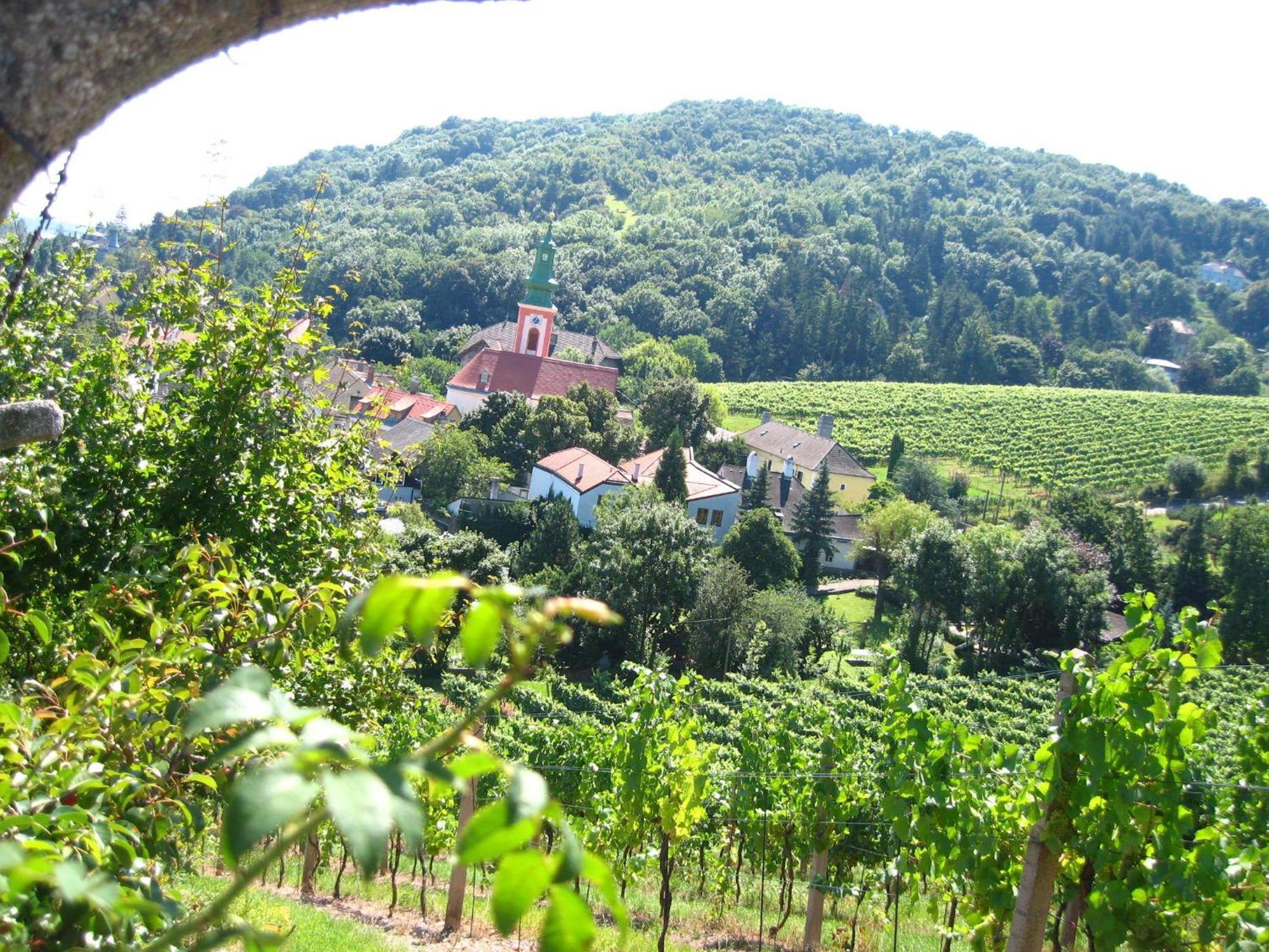 Vienna Cottage Bagian luar foto