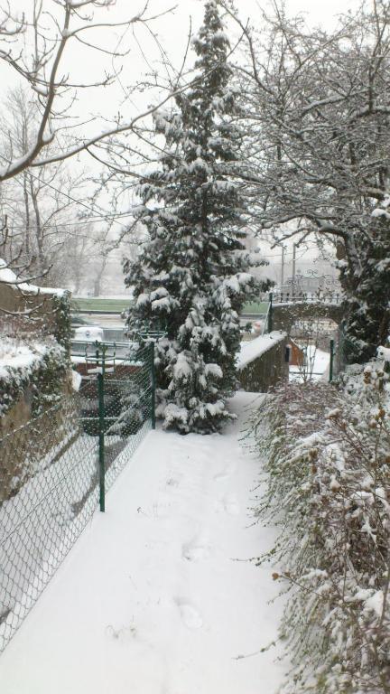 Vienna Cottage Bagian luar foto
